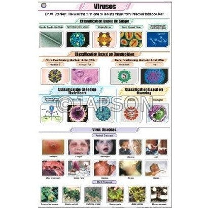 Virus Chart, Botany, School Education Virus Chart, Botany, School Education